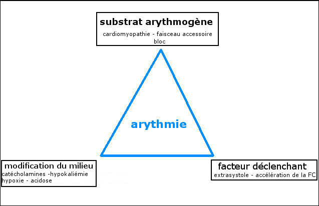 genèse d'une arythmie: le triangle de Coumel